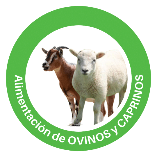 Alimentación de Ovinos y Caprinos con Pellet de Alfalfa