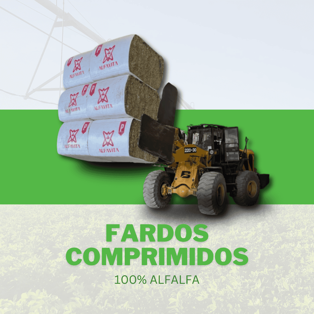 Slide Mobile Fardos de Alfalfa Comprimida ALFAVITA