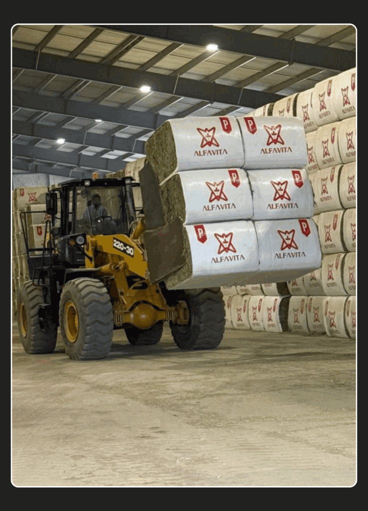 Fardos de Alfalfa de Doble Compresión ALFAVITA