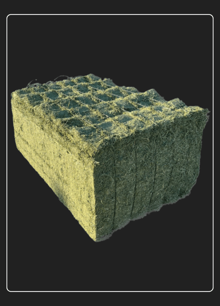 Fardos de Alfalfa Deshidratada ALFAVITA