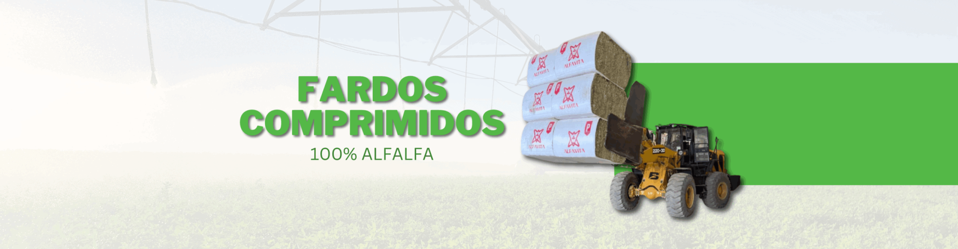 Slide Web Fardos de Alfalfa secada al sol Comprimidos ALFAVITA