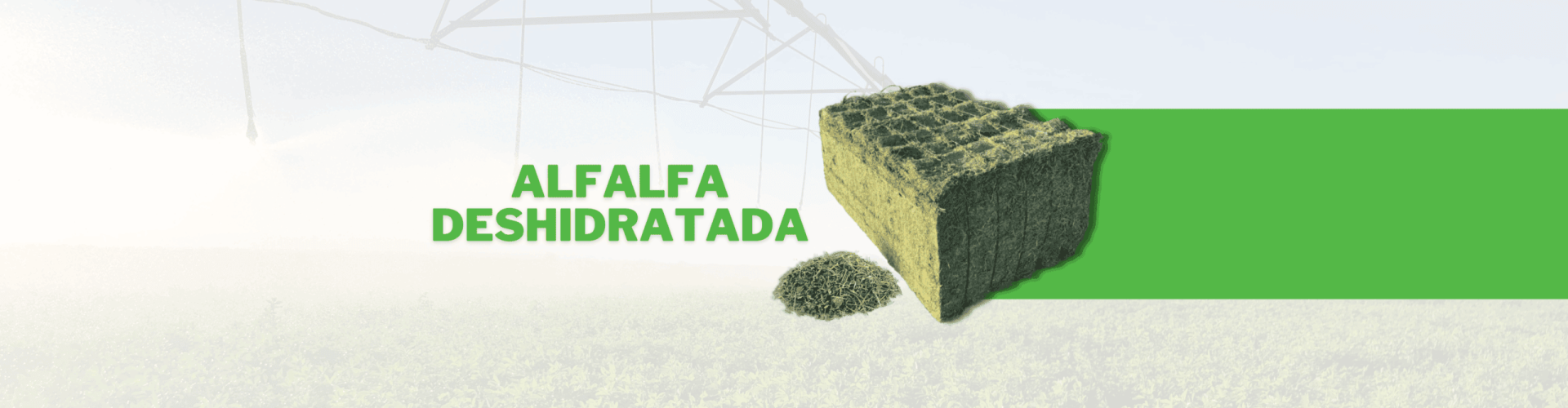 Slide Web Fardos de Alfalfa Deshidratada ALFAVITA