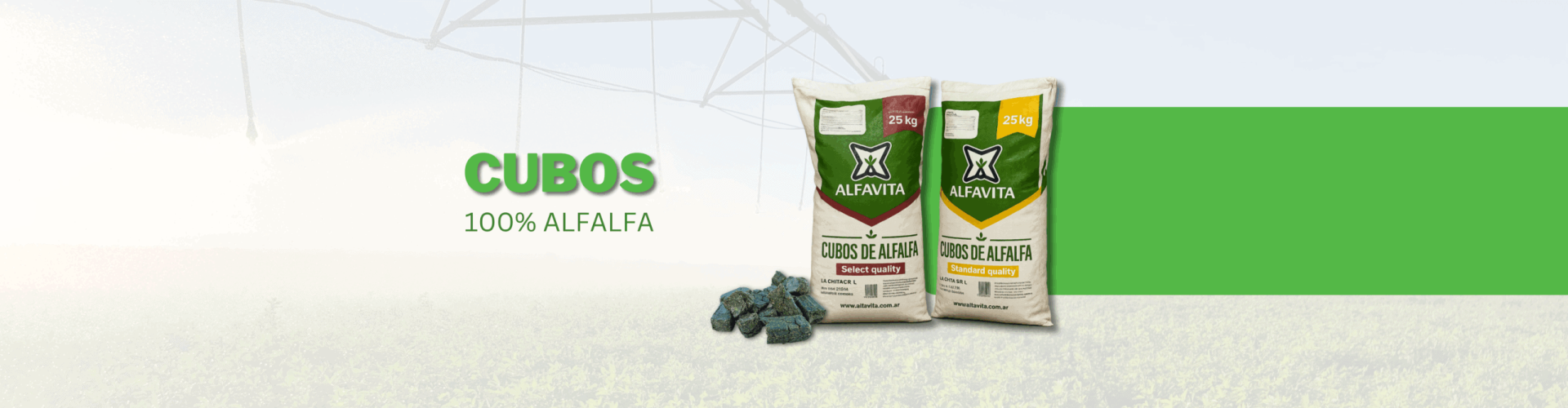 Slilde Web Cubos de Alfalfa ALFAVITA